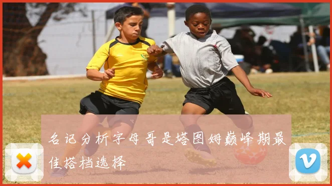 名记分析字母哥是塔图姆巅峰期最佳搭档选择