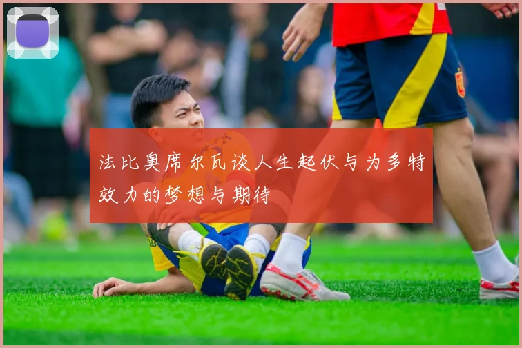 法比奥席尔瓦谈人生起伏与为多特效力的梦想与期待