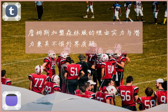 詹姆斯加盟森林狼的理由实力与潜力兼具不惧外界质疑